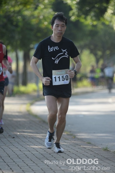 Heifer10 (40)