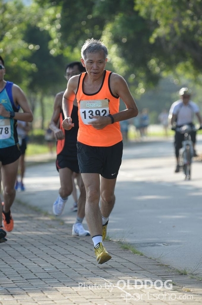 Heifer10 (64)