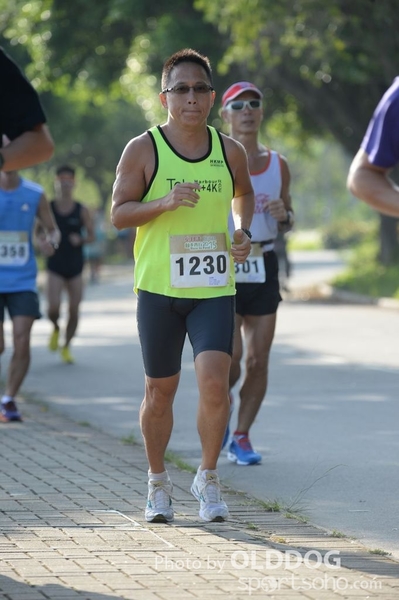 Heifer10 (70)