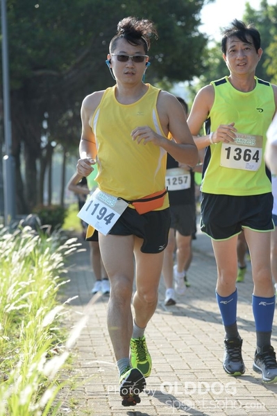Heifer10 (132)