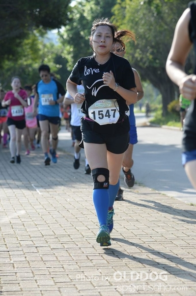 Heifer10 (177)