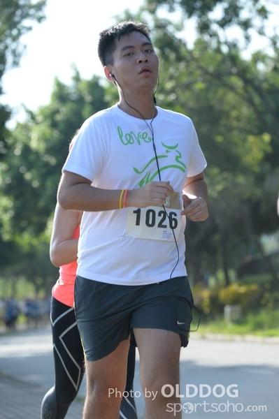 Heifer10 (205)