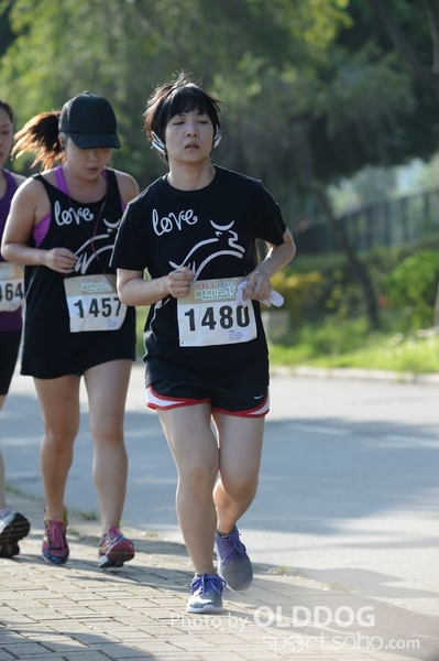 Heifer10 (210)