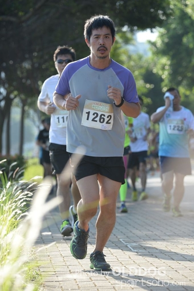 Heifer10 (215)