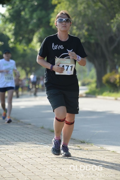 Heifer10 (235)