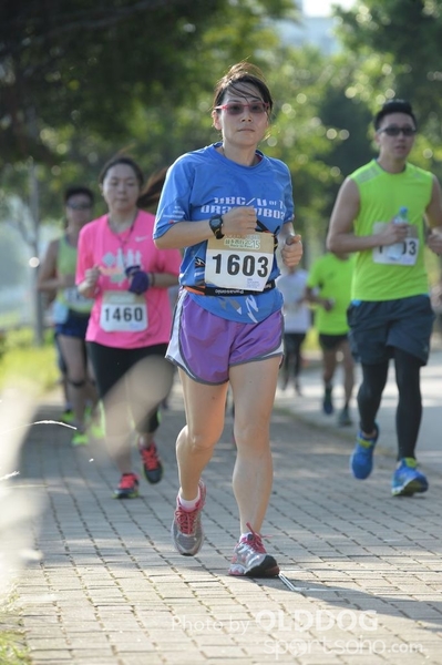 Heifer10 (237)