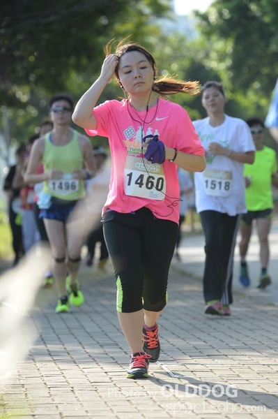 Heifer10 (239)
