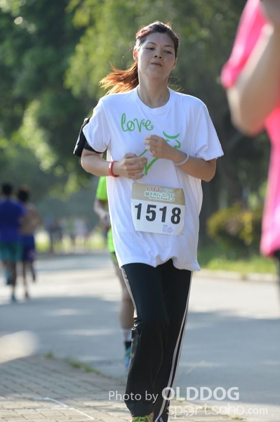 Heifer10 (242)