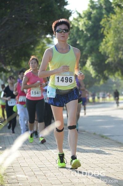 Heifer10 (243)