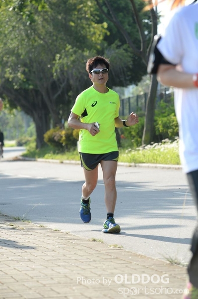 Heifer10 (244)