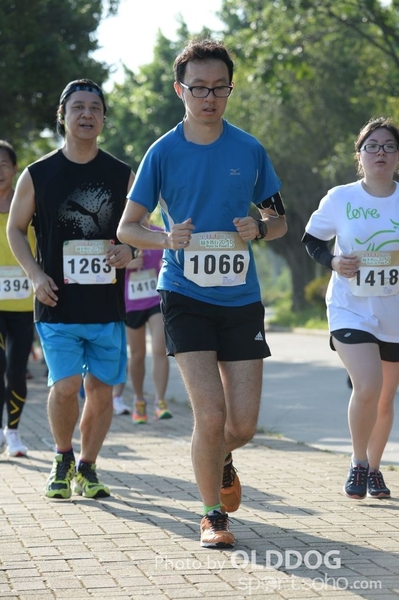 Heifer10 (248)