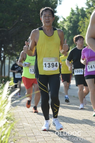 Heifer10 (250)