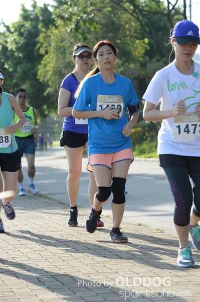 Heifer10 (252)