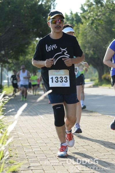 Heifer10 (253)