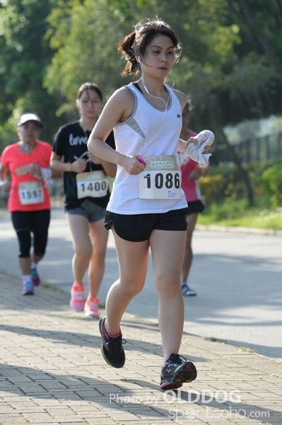 Heifer10 (268)