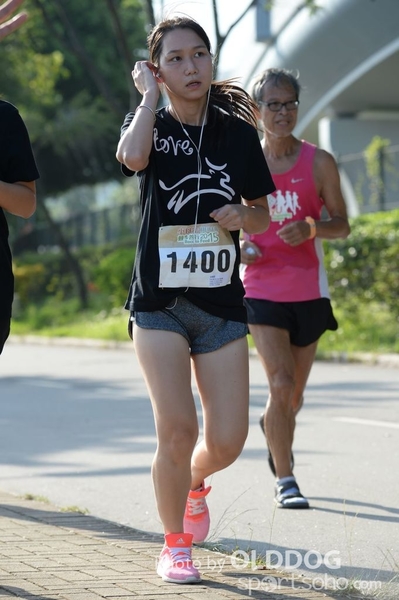 Heifer10 (271)