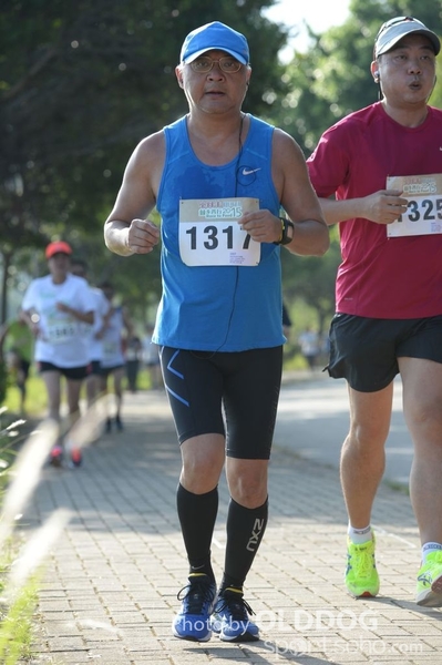 Heifer10 (272)