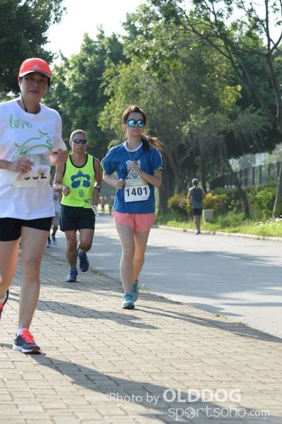 Heifer10 (274)