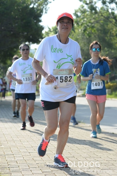 Heifer10 (275)