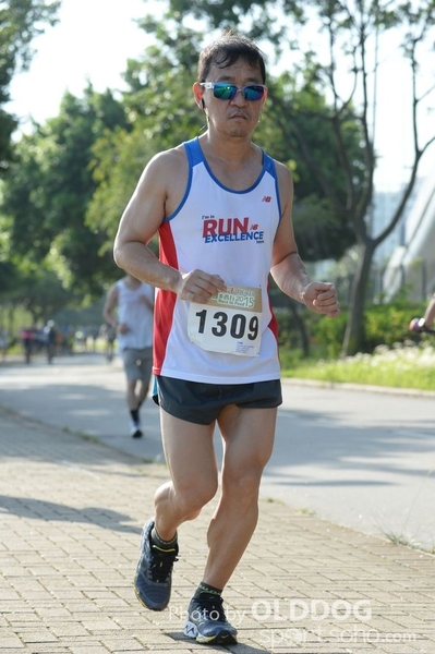 Heifer10 (278)