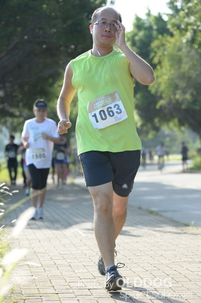 Heifer10 (279)