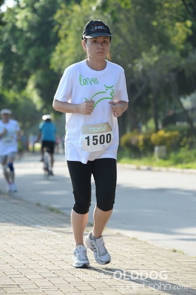Heifer10 (280)