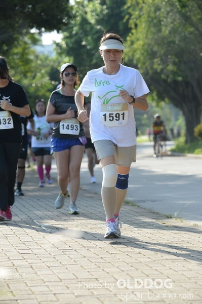 Heifer10 (282)