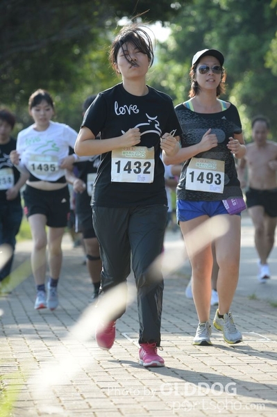 Heifer10 (283)