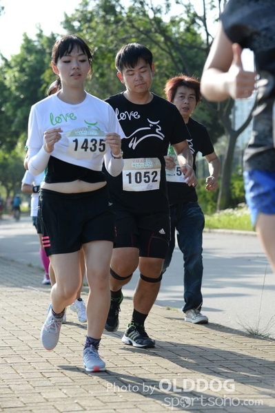 Heifer10 (286)