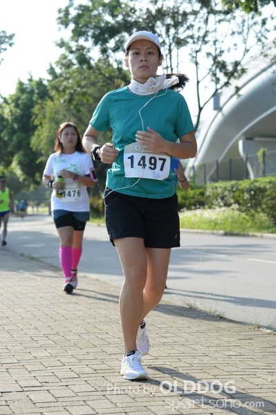 Heifer10 (287)