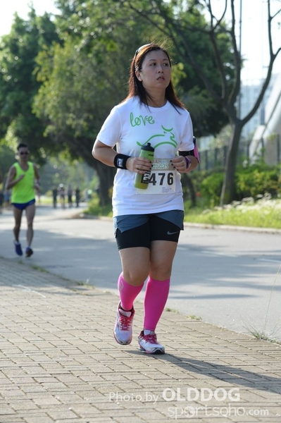 Heifer10 (288)