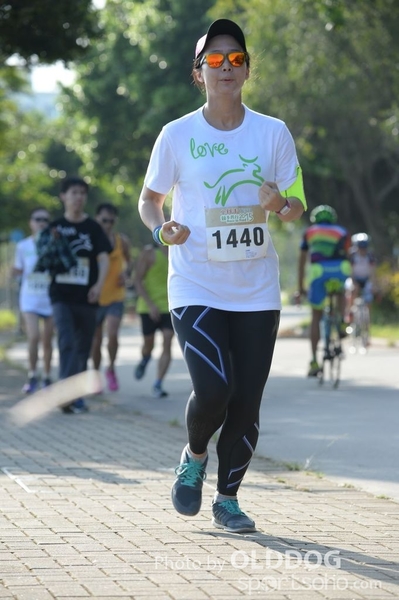 Heifer10 (290)