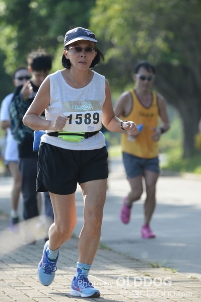 Heifer10 (291)