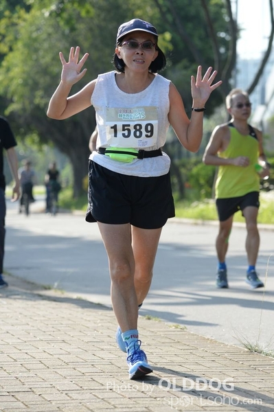 Heifer10 (292)