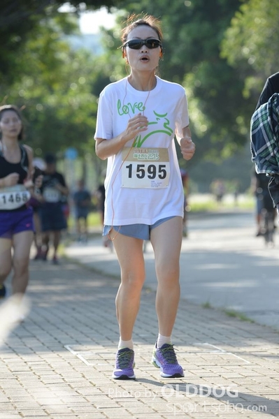 Heifer10 (293)