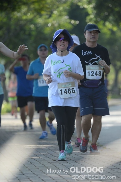 Heifer10 (296)