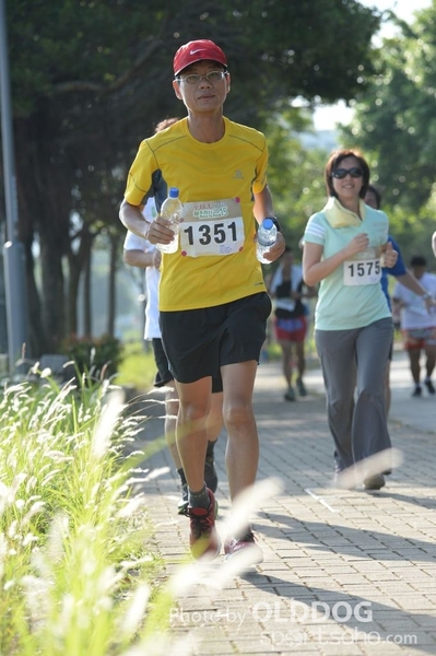 Heifer10 (300)