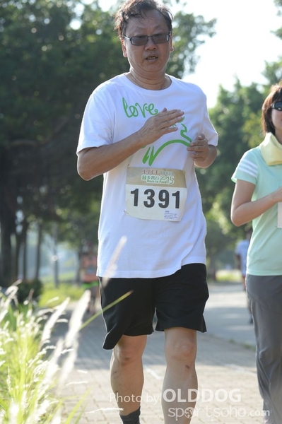 Heifer10 (302)