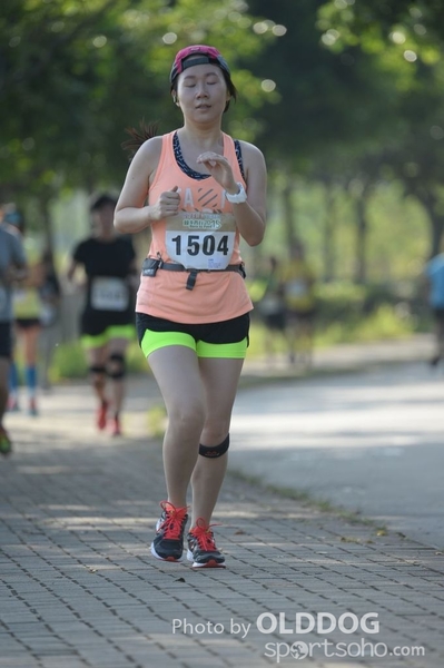 Heifer10 (305)