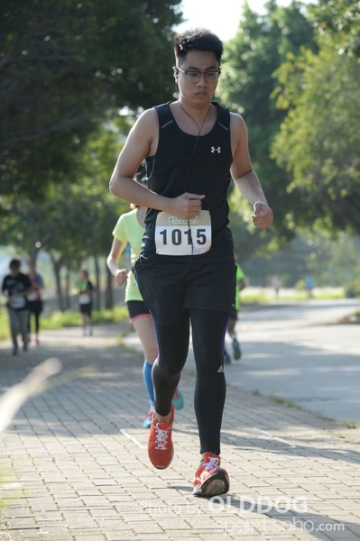 Heifer10 (307)