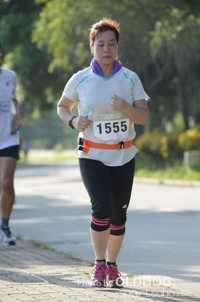 Heifer10 (319)