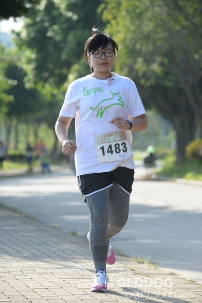 Heifer10 (325)