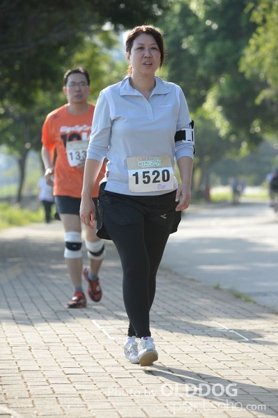 Heifer10 (329)