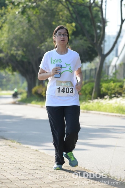 Heifer10 (331)