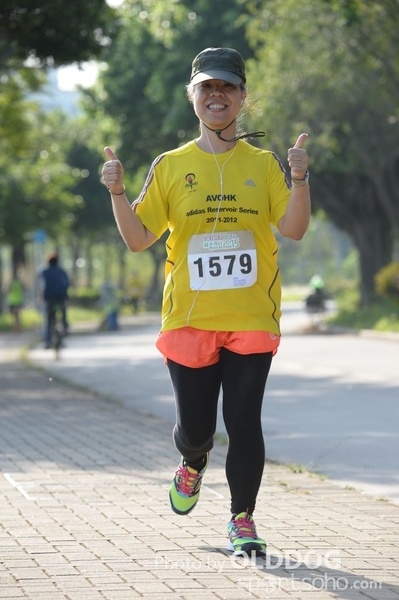 Heifer10 (333)