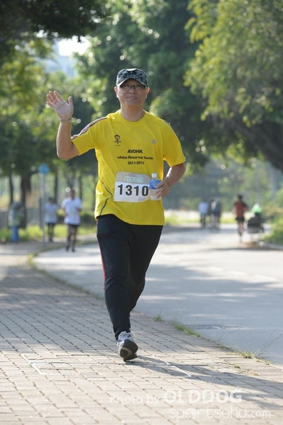 Heifer10 (335)