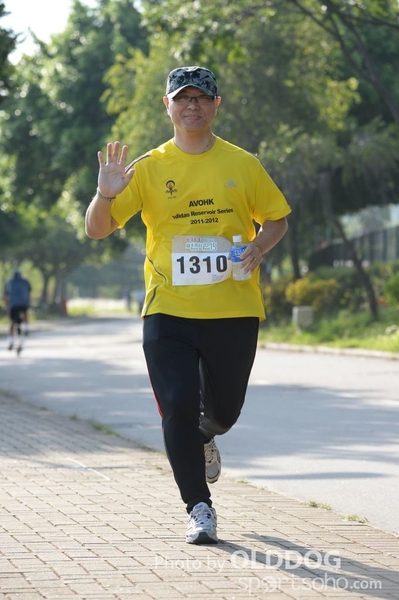 Heifer10 (336)