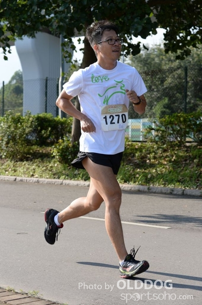 Heifer10 (337)