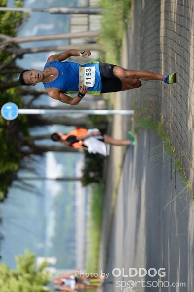 Heifer10 (350)