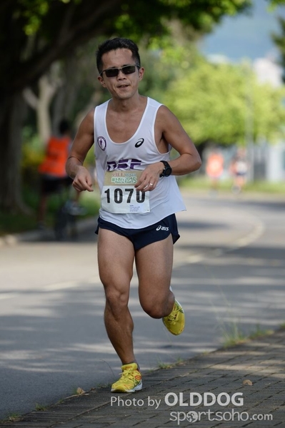 Heifer10 (359)